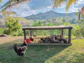 Mobile Rearing Pen- chickens mow the grass!