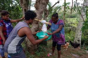 Grace Extracting Virgin Coconut Oil