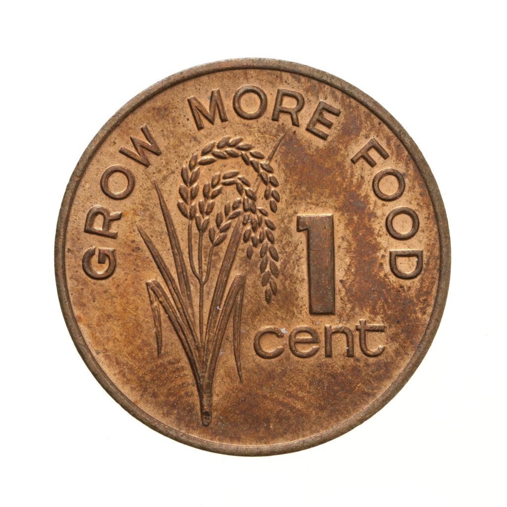 Grow More Food! Fiji coin found in the driveway.