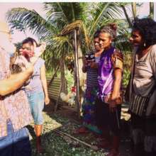 Information sharing in the chicken pen