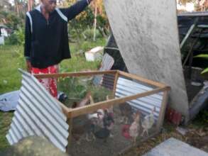 Casa's husband Johne now tends the chickens