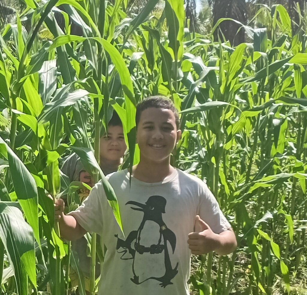Keanu hiding behind Kiki in the corn!