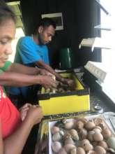 Seeta and Ata-ata working in the hatchery