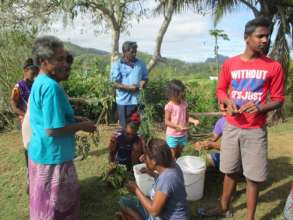 Making Chicken Feed from Morniga