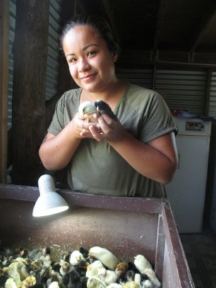 Nicole the Happy Chicken Hatchery Manager