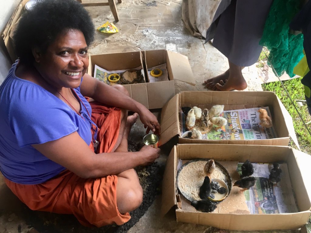 Happy Chickens for Fiji Food & Climate Emergency!