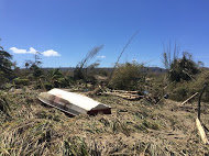 Response to Tropical Cyclone Pam in Vanuatu