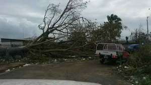 vegetation damaged