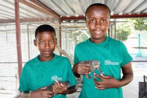 Children & babies mongooses