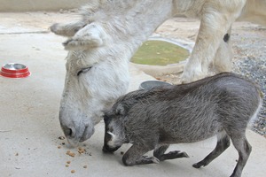 Sharing is caring!