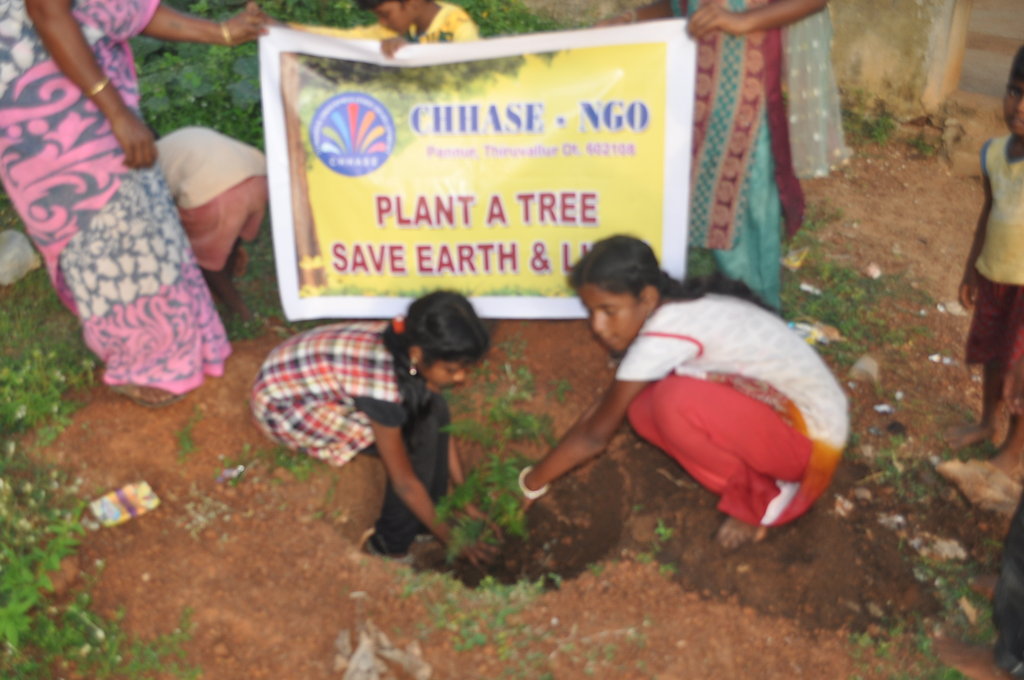 Provide 1000 plants to school planting program