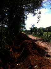 trench along main road
