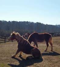 Amos acting silly with Noah by his side
