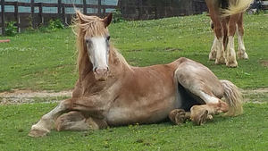 Amos being Sassy