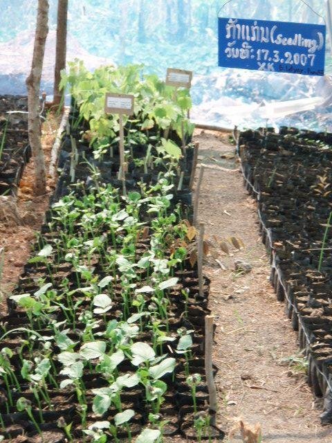 Provide Microfinance to Disadvantaged Laos Farmers