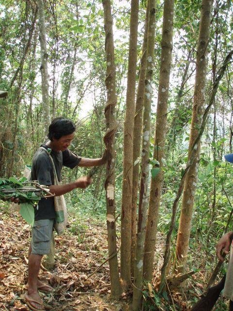 Provide Microfinance to Disadvantaged Laos Farmers