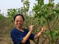 Provide Microfinance to Disadvantaged Laos Farmers