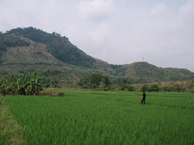 Provide Microfinance to Disadvantaged Laos Farmers