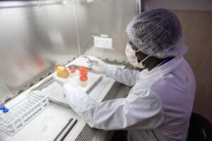 Fighting against HIV/AIDS