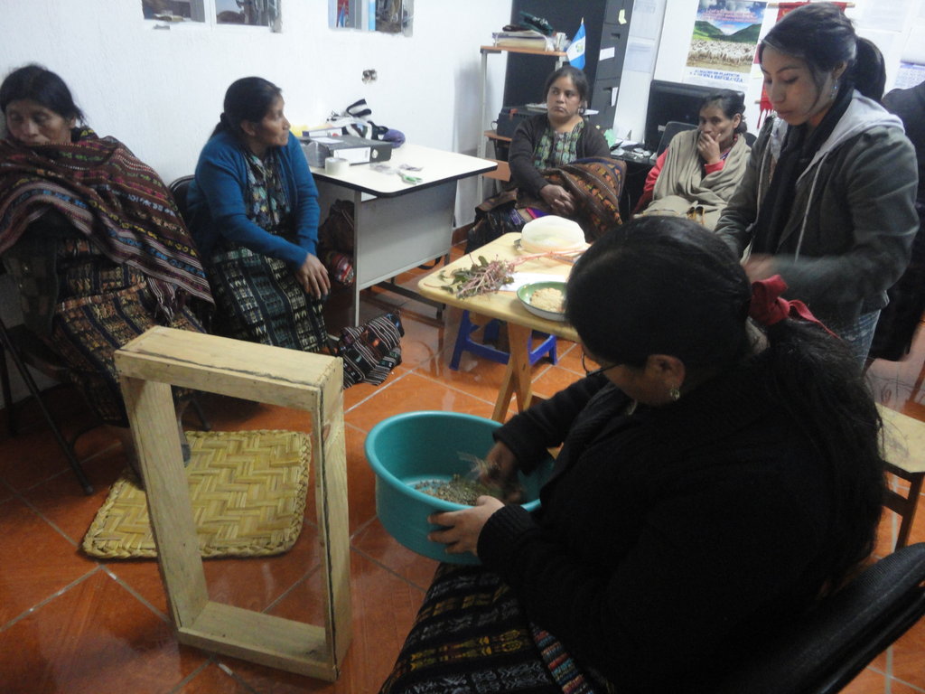 Empower Women to Feed their Families