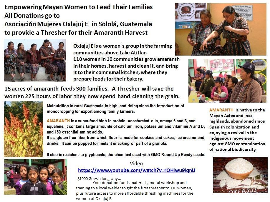 Empower Women to Feed their Families
