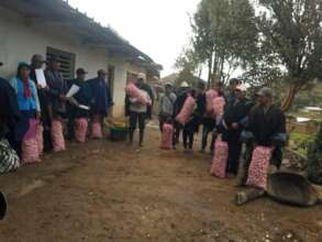 Community garlic harvest ready to take to market