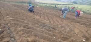 Community members working together (minga)