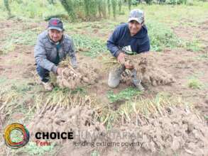 Community members work together to get to market