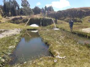 Two of the trout ponds