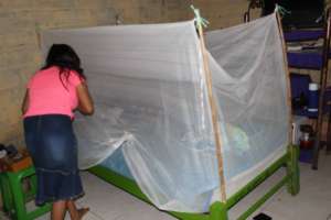 Dengue Fever is endemic-Mosquito nets are needed