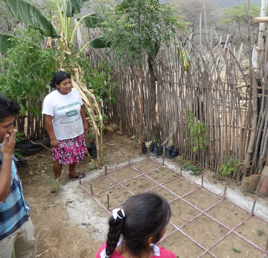 Sustainable Nutrition for 823+ Families in Peru