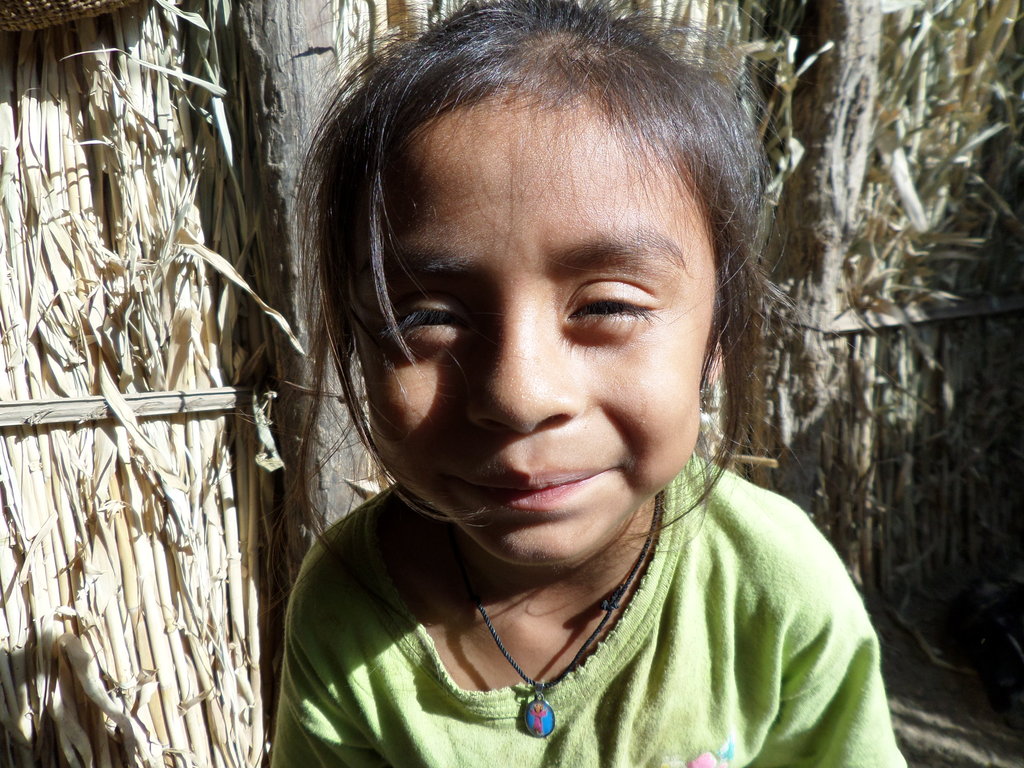 Sustainable Nutrition for 823+ Families in Peru