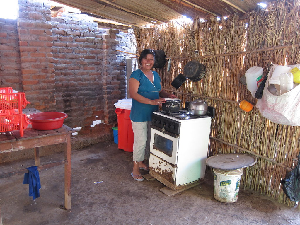 Sustainable Nutrition for 823+ Families in Peru