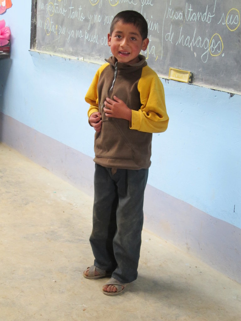 Sustainable Nutrition for 823+ Families in Peru