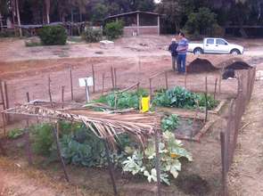 A Successful Garden Ready for Harvest