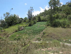 Farming on All Types of Land