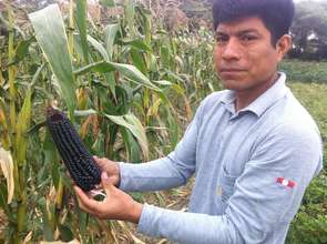 Harvesting a Variety of Crops Improves Nutrition