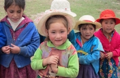 Sustainable Nutrition for 823+ Families in Peru