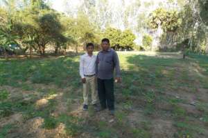 B.Rey's Moringa Field February 2017