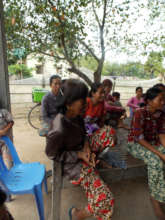 Learning about Moringa
