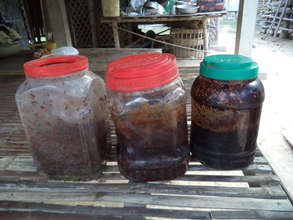 Honey Harvest - Farmer Khin Manith
