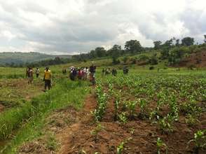 Rural women build up their economical empowerment