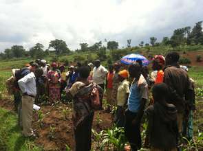 Women grouped into Agricultural Cooperatives