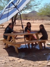 Shade is a desert dweller's best friend!