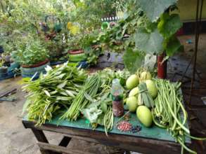 Garden crops at Salih Yusah ES