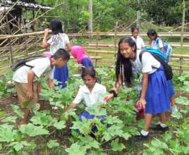 Joy of Gardening at Palan ES