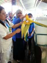 New water tank at Salih Yusah ES nourishes garden