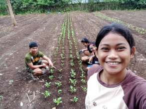 AAI-MSU agro students plant sustainable gardens