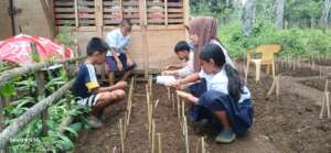 Rural school garden