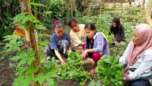 School gardens equal better nutrition